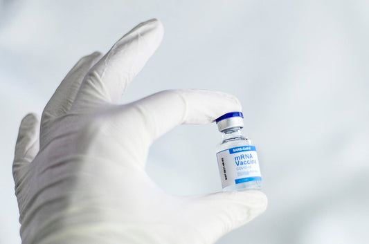 Top 5 Dog Vaccinations Every Pet Parent Should Know About